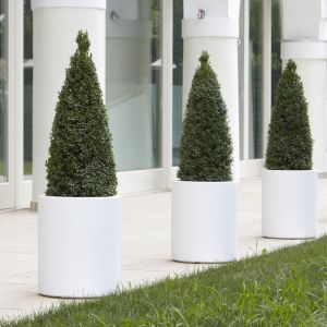 Vaso da esterno ed interno Echo