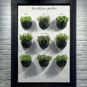 Vaso da parete in resina Clio