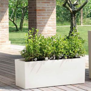 Vaso Schio Cassa Teraplast