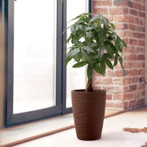 Vaso design in resina Tylus Elegance