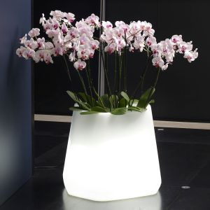 Vaso luminoso da interno e giardino Ops Light Medium