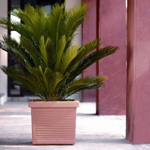 Vaso quadro Millerighe Nicoli