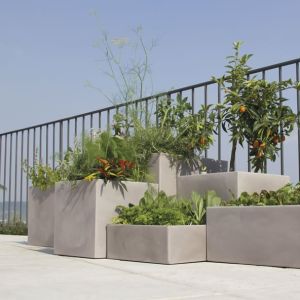 Vaso grande quadrato Momus