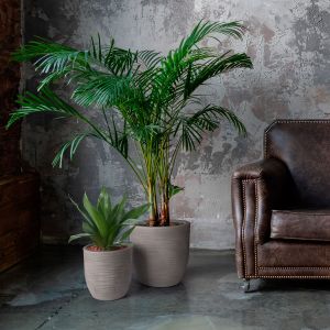 Vaso ciotola in resina Rhea Elegance