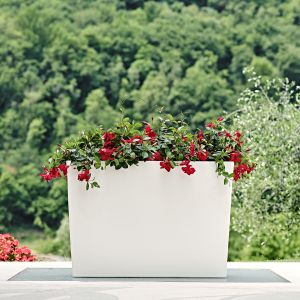 Vaso Schio Cassa Alta