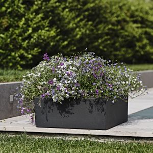 Vaso Schio Cubo Basso - Granite