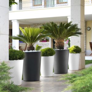 Vaso Zamora Teraplast