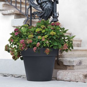 Vaso in resina Zeus Matt