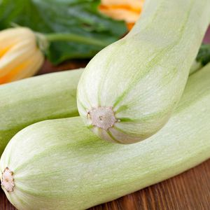 Zucchino Bianco di Sicilia | ‎ Bestprato by Hortus