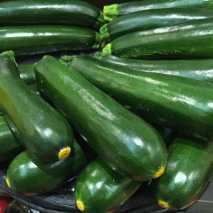 Zucchino Genovese Biologico | ‎ Bestprato by Hortus