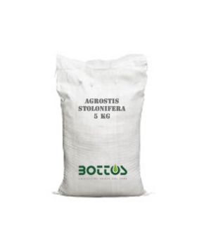 Agrostide Stolonifera - 5 Kg