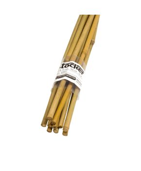 Canne di Bambù Sottili Stocker