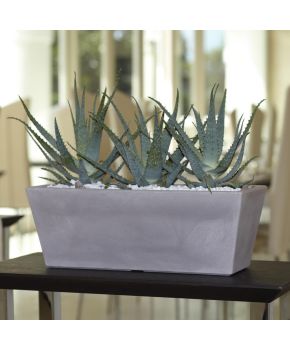 Cassetta Mysia Nicoli