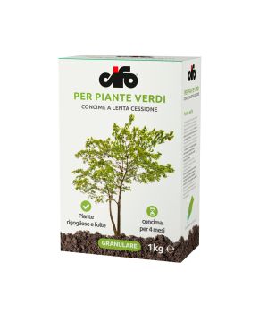 Concime Piante Verdi | Cifo 