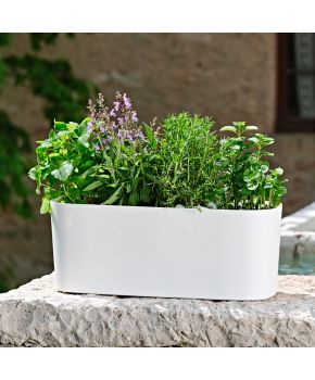 Fioriera in plastica colorata Paros Teraplast