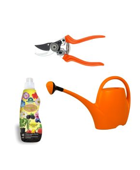 Kit Piante in Casa | Bestprato