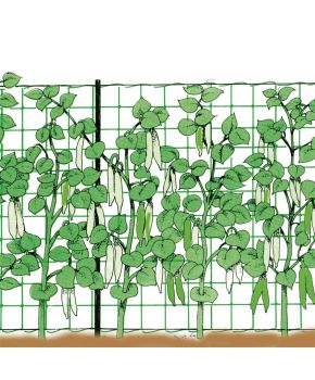 Rete per Rampicanti Orto - Stocker