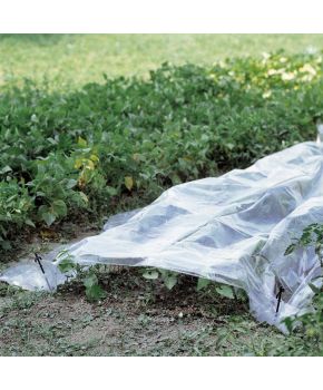 Telo Trasparente per Orto 2x10m | Verdemax