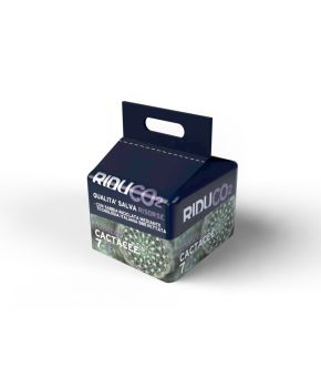 Terriccio per piante grasse