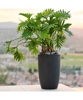 Vaso da esterno alto e stretto Meti Teraplast