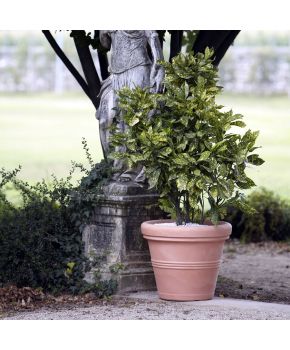 Vaso Doppiobordo Nicoli