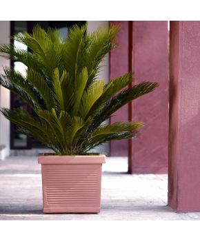 Vaso quadro Millerighe Nicoli