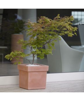 Vaso quadrato in resina Themis