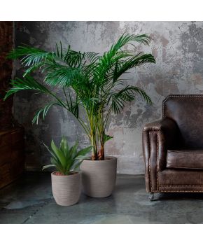 Vaso ciotola in resina Rhea Elegance