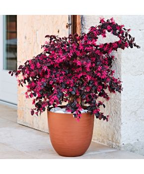 Vaso tondo in plastica riciclata Over Teraplast