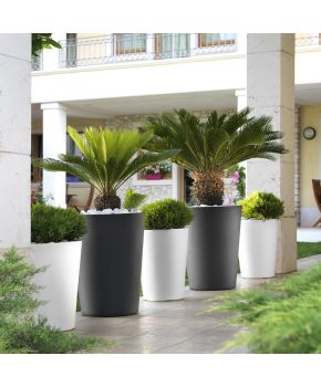 Vaso Zamora Teraplast