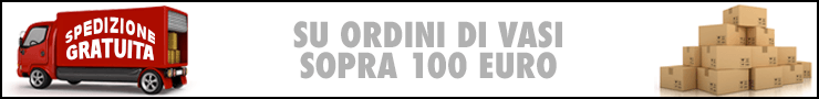 Spedizione Gratuita Vasi