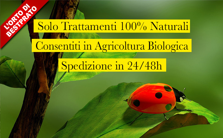 agricoltura biologica