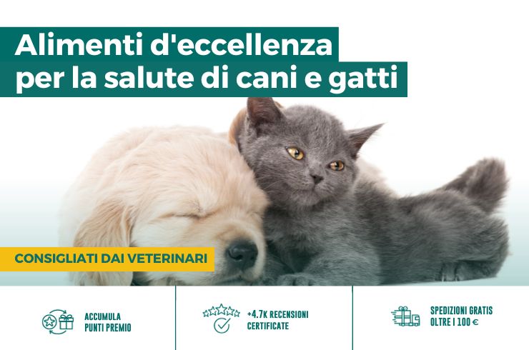 cibo per cani e gatti