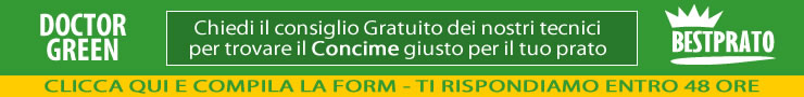 Scegli il concime giusto per il tuo prato