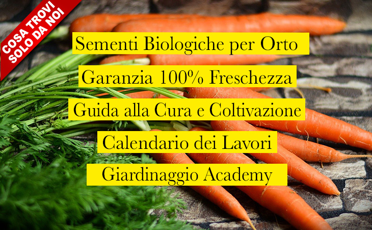 Sementi da Orto Biologiche