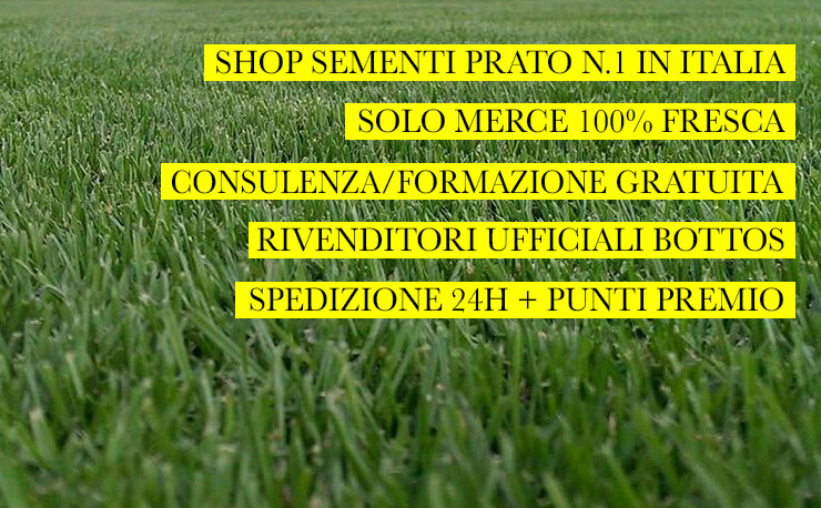 Sementi per Prato